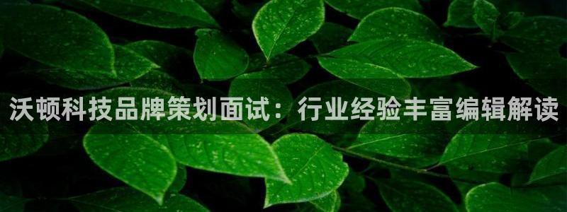 mgm美高梅游戏网页